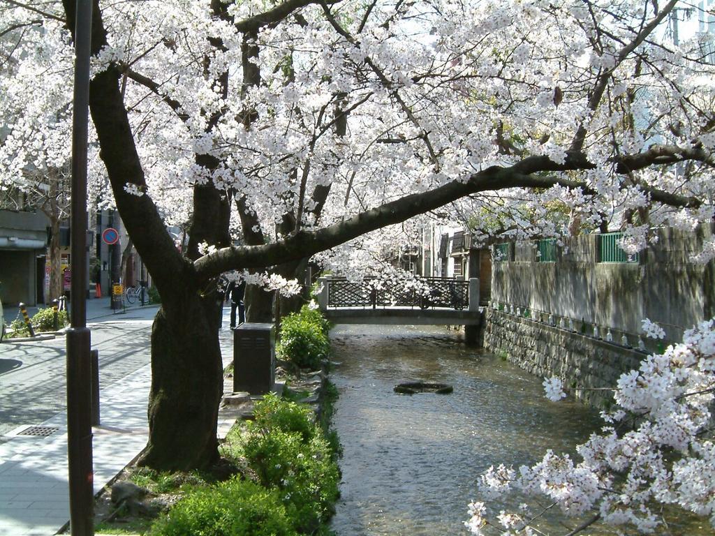 Hotel Ponto Kyoto Luaran gambar